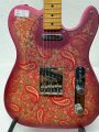 Tokai Breezysound TE70 PR Paisley 1983 #J91